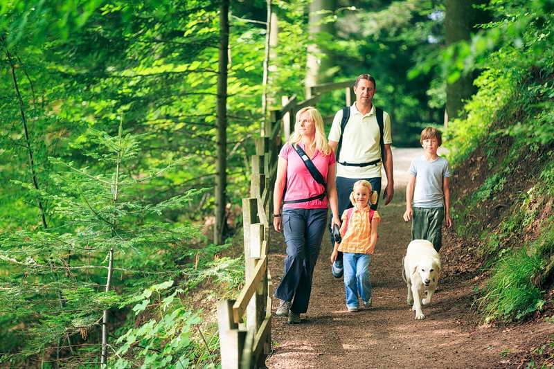 Tageswanderungen Tageswanderungen